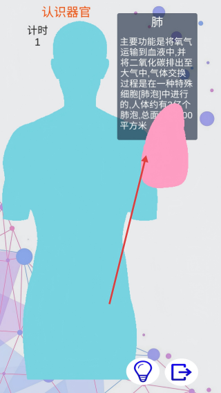 人体拼图