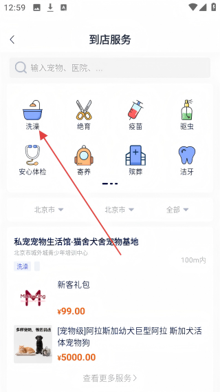 华腾宠物