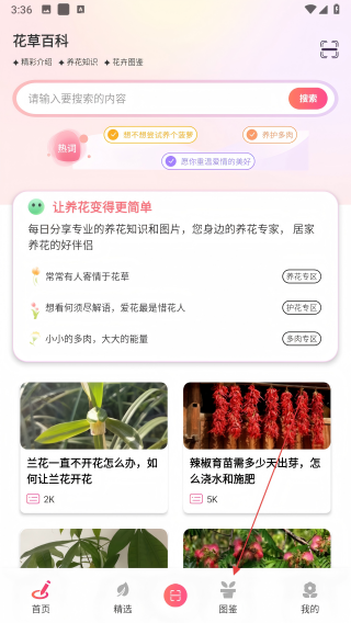 花语秀