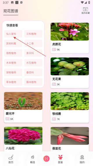 花语秀