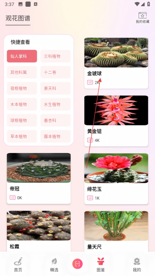 花语秀