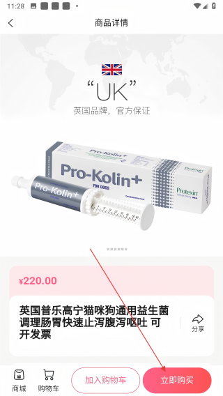 灰耳朵陪宠