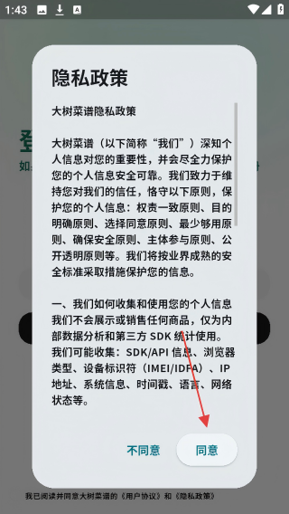 大树菜谱