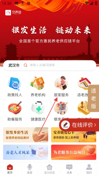 安养链