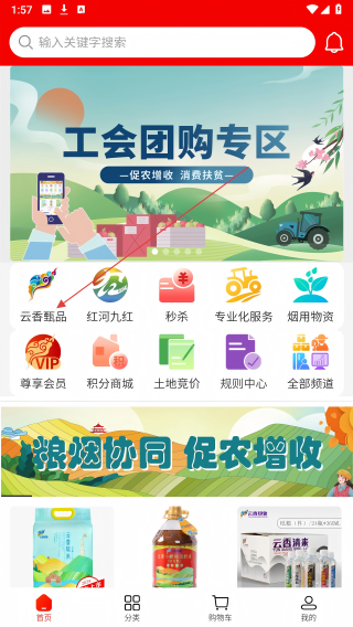 云香印象