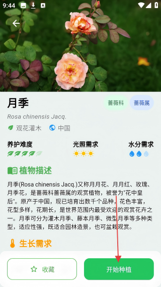植迹