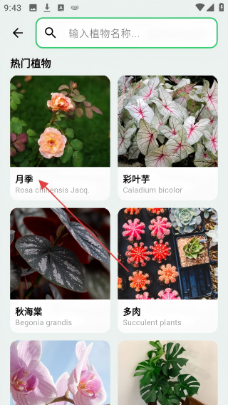 植迹
