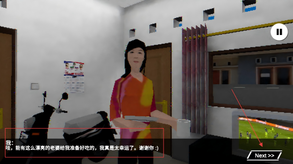 皮卡布停