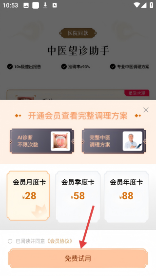 元气乌龟