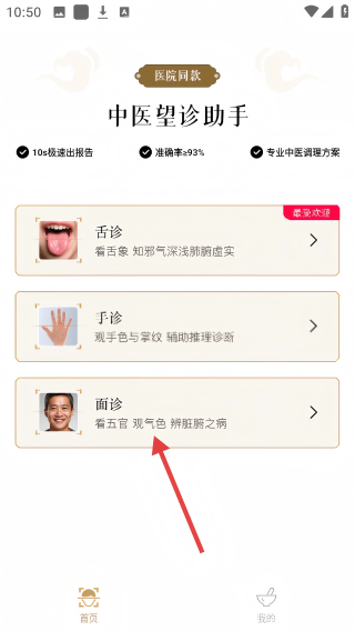 元气乌龟