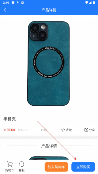 会飞的鱼
