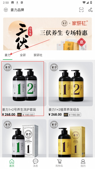 姜力