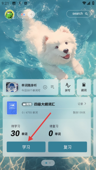 soso背单词