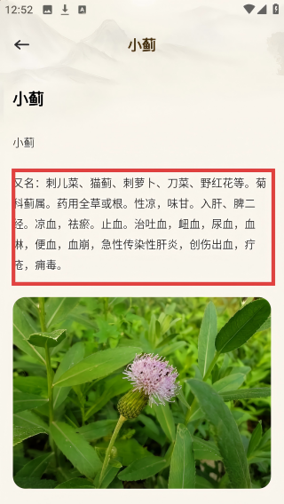 经络穴位图鉴