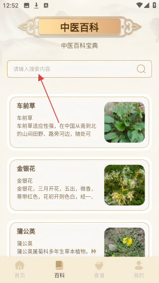 经络穴位图鉴
