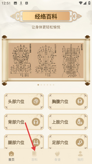 经络穴位图鉴