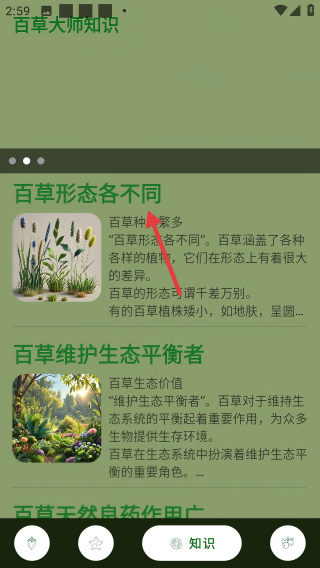百草大师
