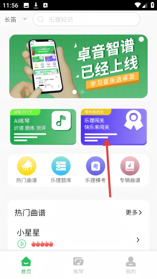 卓音智谱