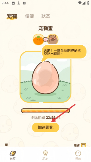 Waggy哇叽