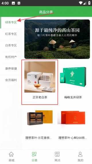 逐梦茶园