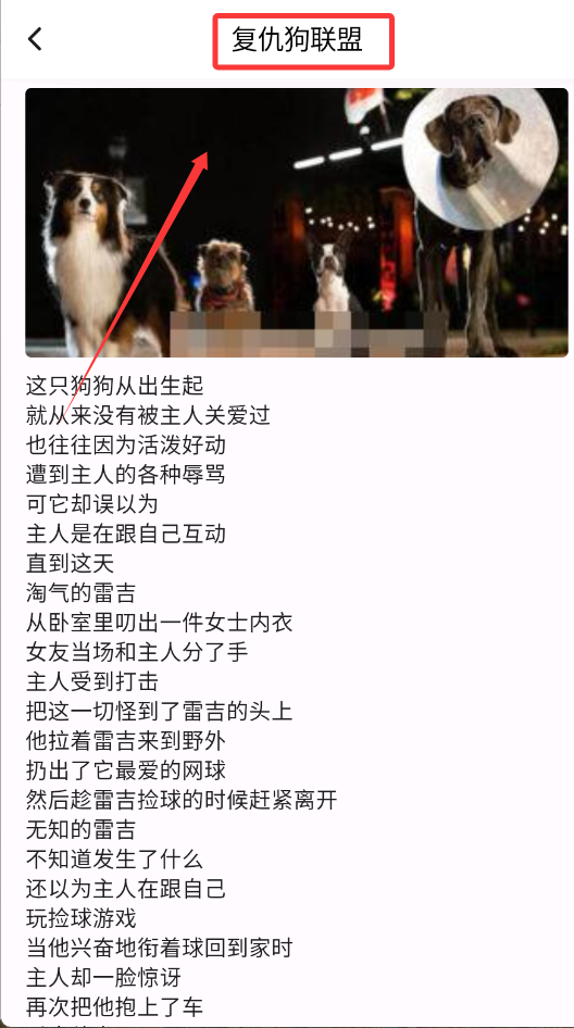 樱花影视app正版