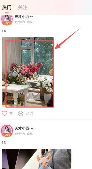 棉花糖直播软件最新版