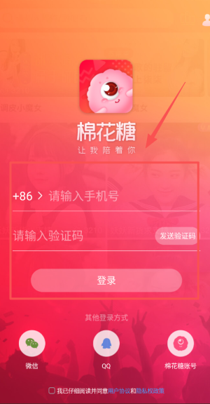 棉花糖直播软件官网