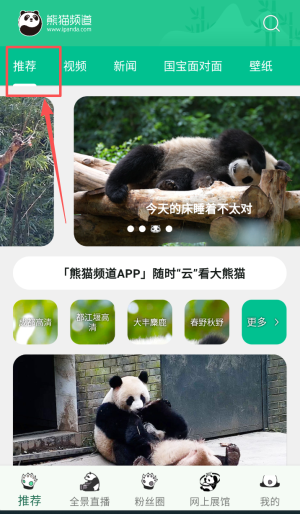 熊猫频道