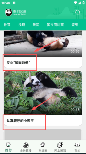 熊猫频道app免费版
