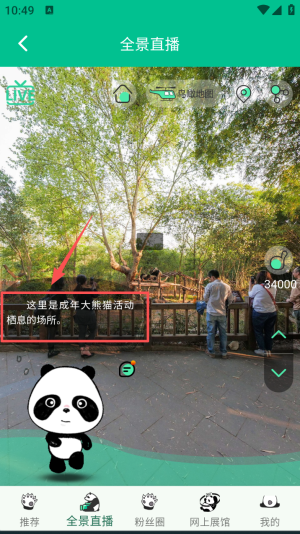 熊猫频道app免费版