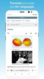 kiwi浏览器中文安卓版