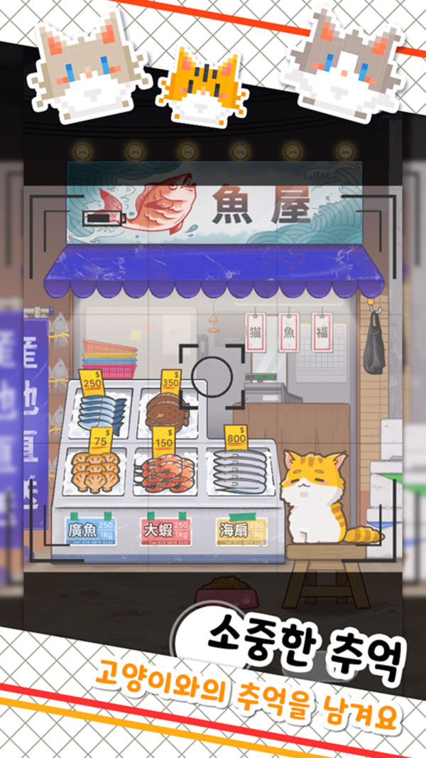 鱼店猫老板