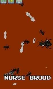 蚂蚁家族模拟器最新版