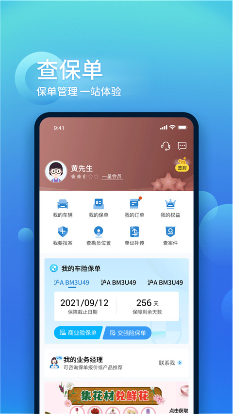 中国大地保险