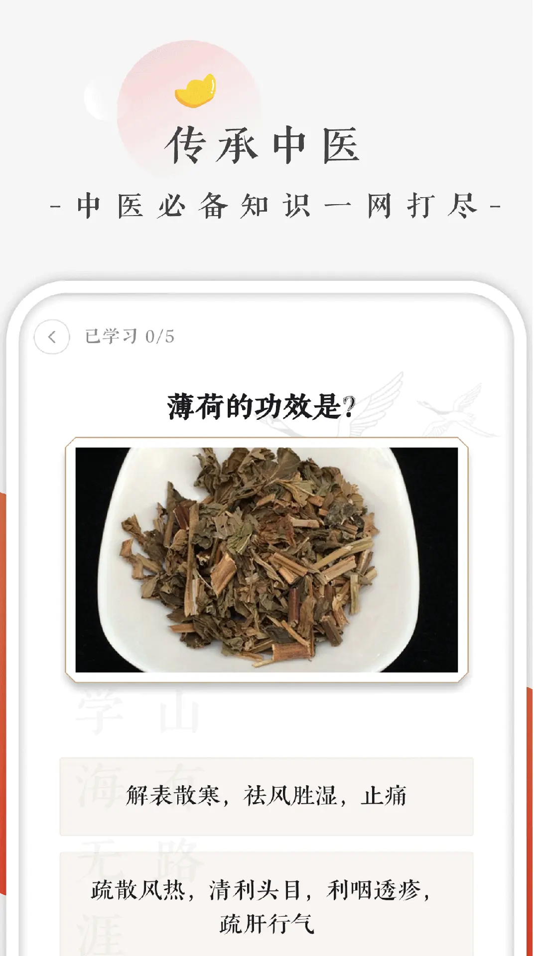 快背中医