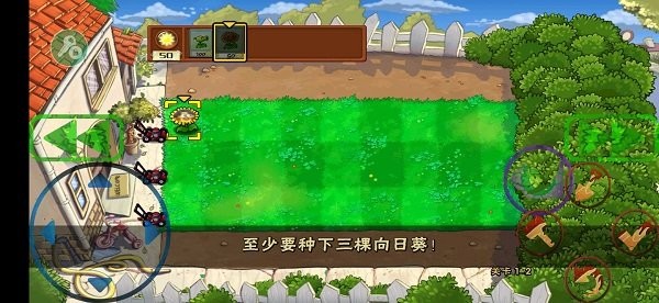 僵尸练习生