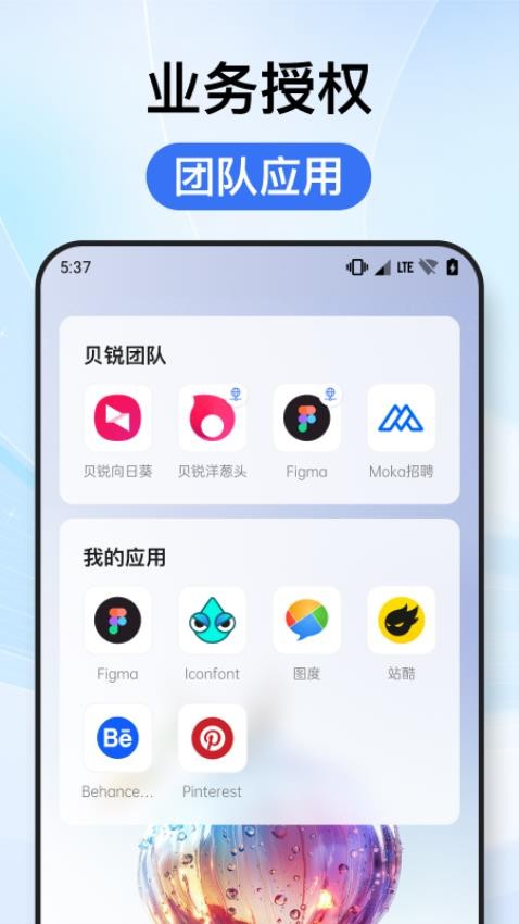 贝锐洋葱头