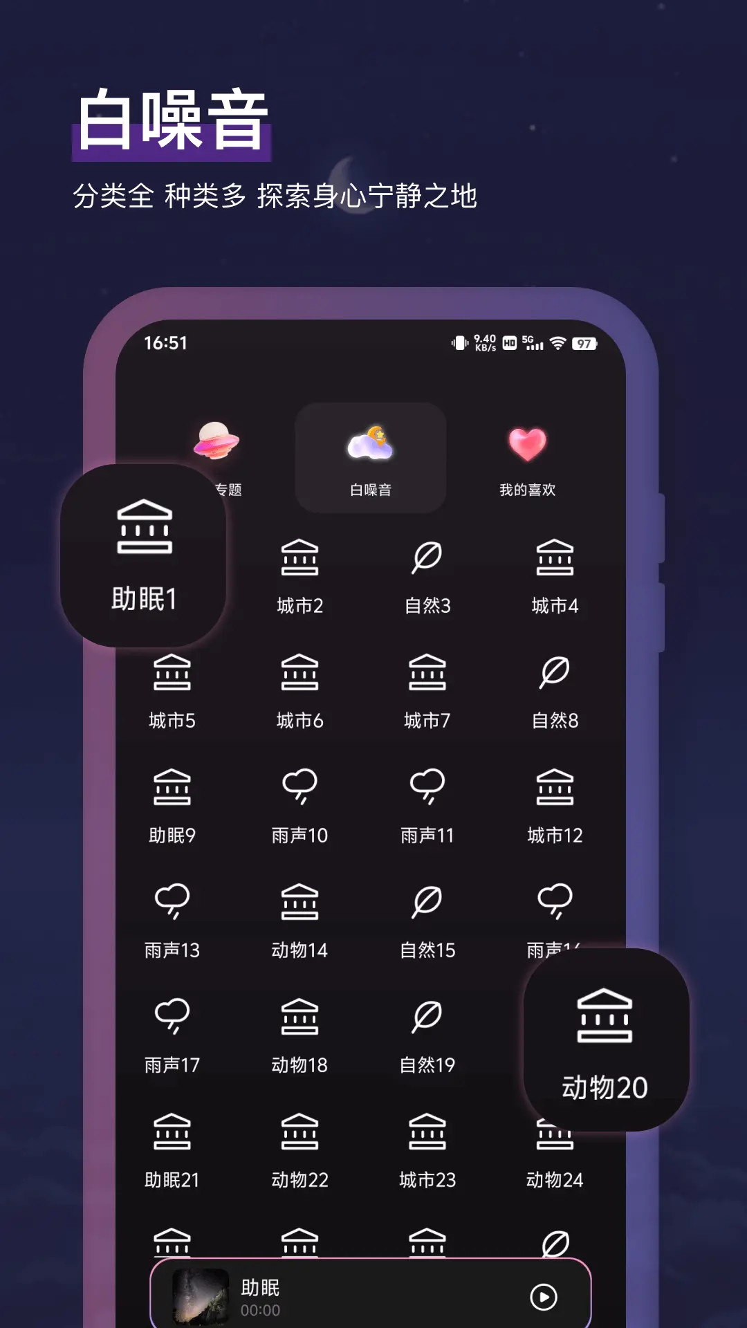小鱼冥想