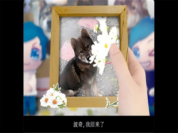 翌日波奇狗的历险记