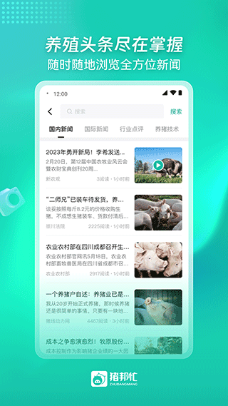 猪邦忙找工作