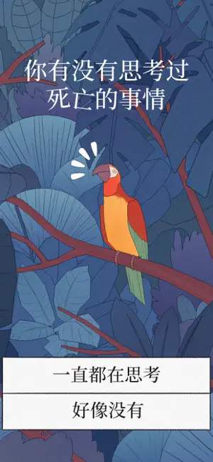 BirdAlone