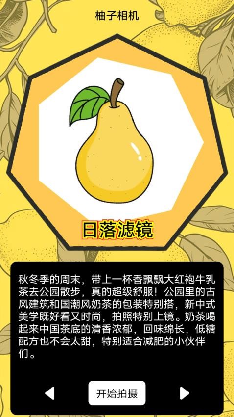 柚子快报告