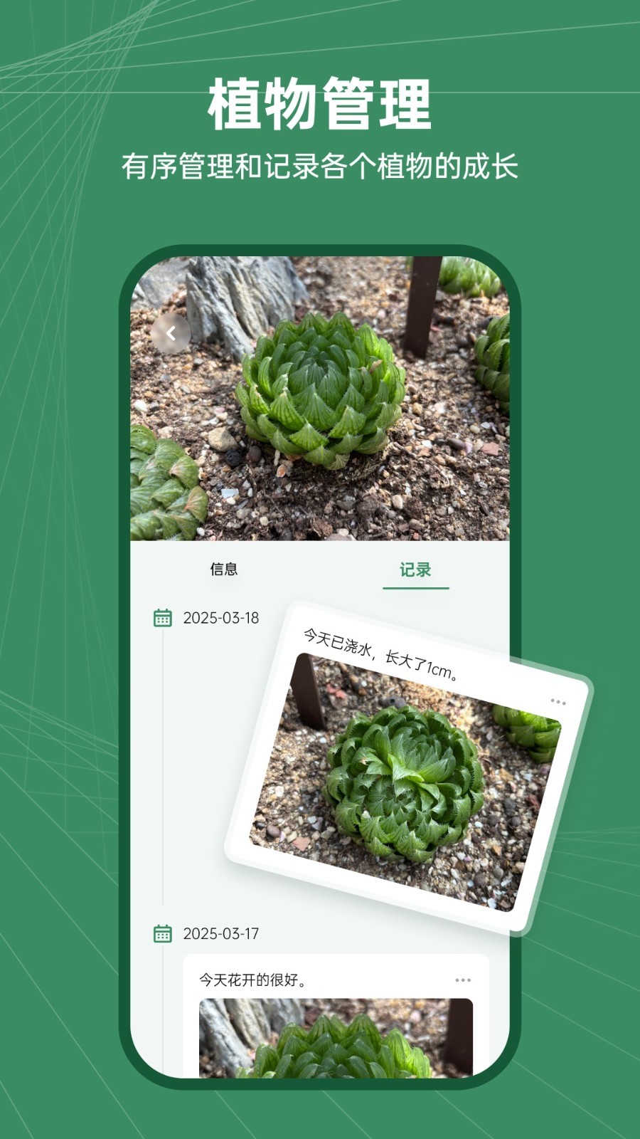 花草志