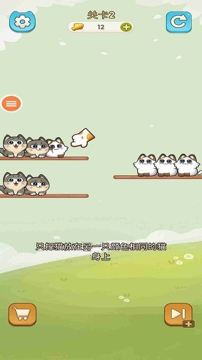 我的可爱猫咪