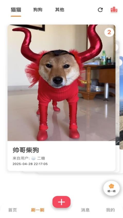 爪爪巴士