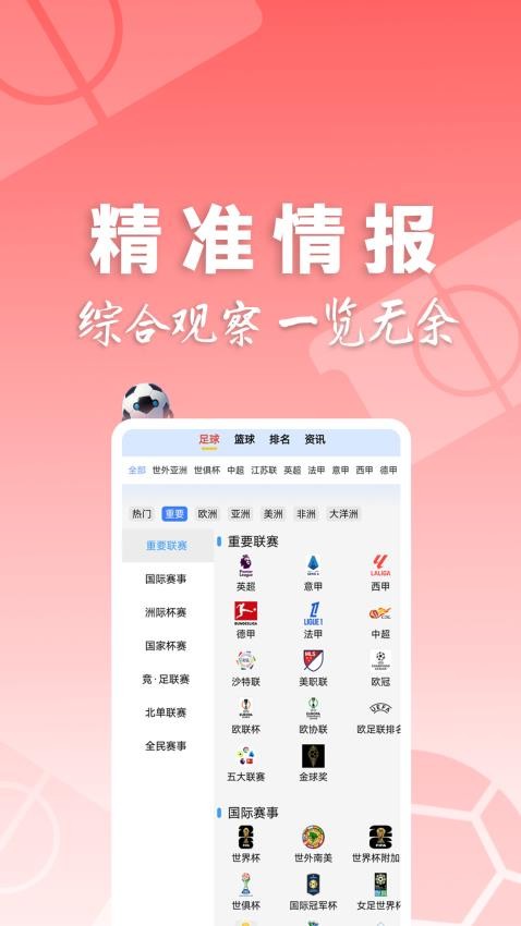 310大师
