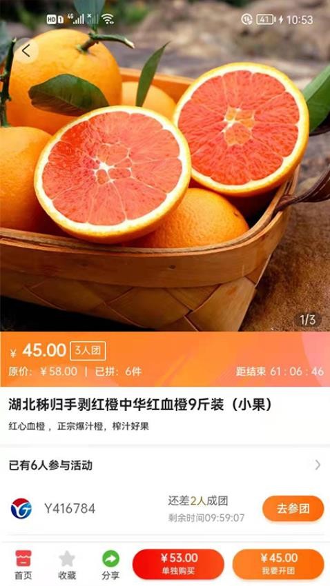 瑶光生态