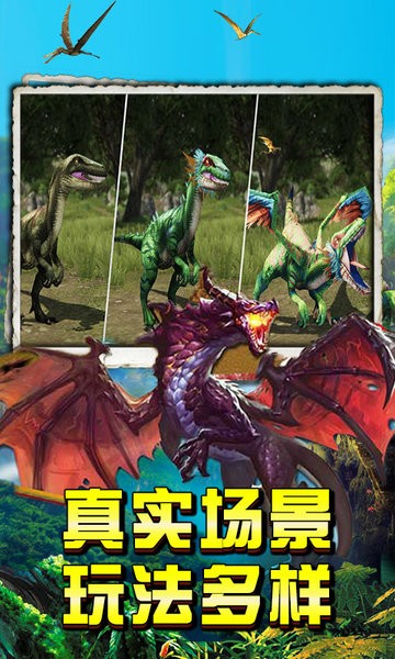 全民召唤神龙模拟器