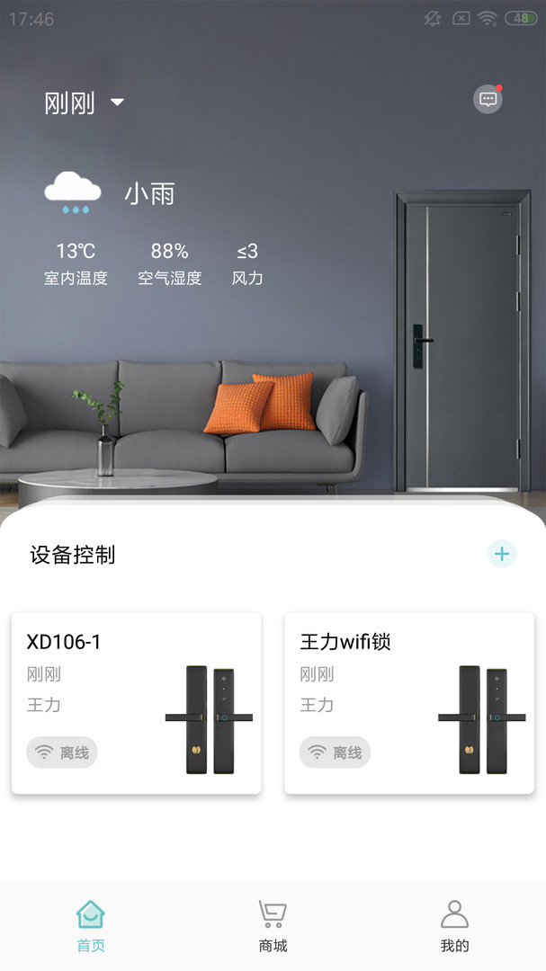 王力安防
