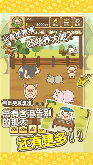 养猪场